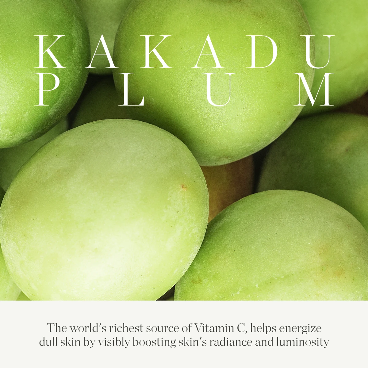Kakadu Plum Vitamin C Eye Cream - Bild 5